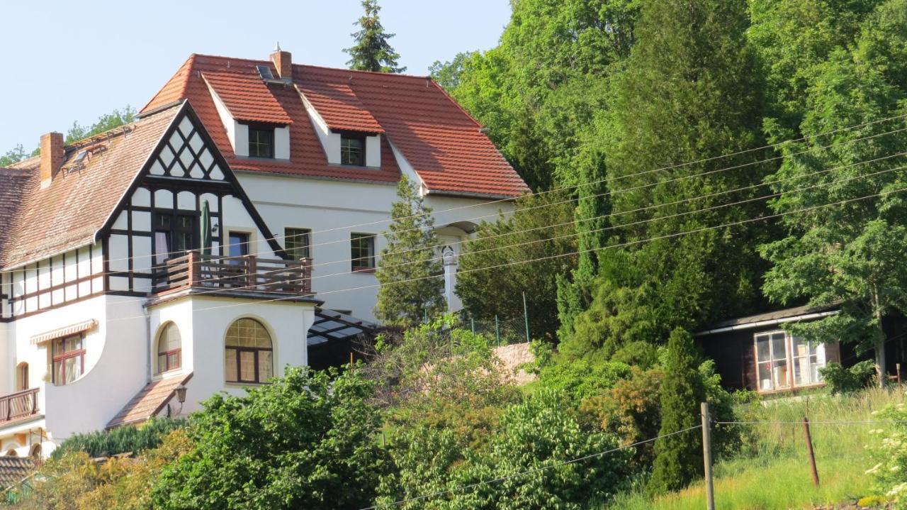 Ferienhaus Elbsommer Am Weinberg II Meissen Exterior photo